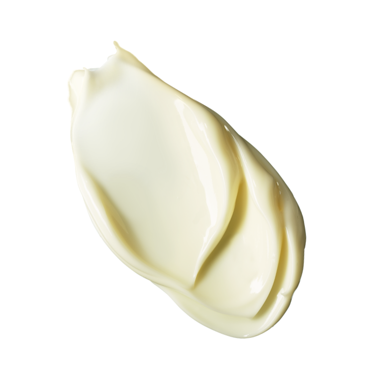 Essential Moisturizing Cream